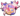 Head Icon