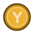 Y button