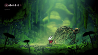 Moss Grotto