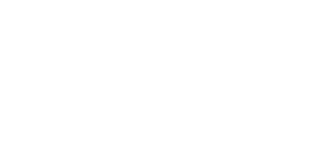 Icon HK World Sense Art.png