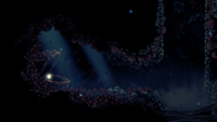 Crustnut - Hollow Knight Wiki