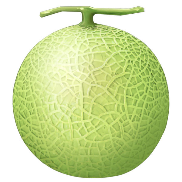 File:Melon.jpg