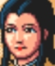 Taikō Risshiden portrait