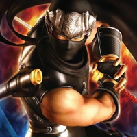 File:New KT Wiki Game Icon - NGSP.png - The Koei Tecmo Wiki