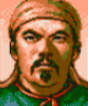 Romance of the Three Kingdoms V portrait