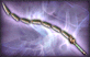 3-Star Weapon - Dragon Chain.png
