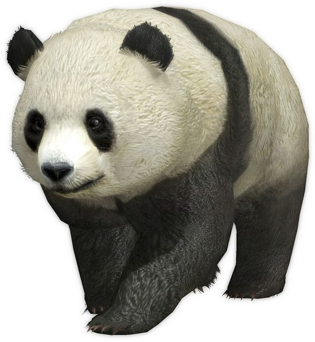 Panda - The Koei Tecmo Wiki
