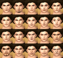 Male face set