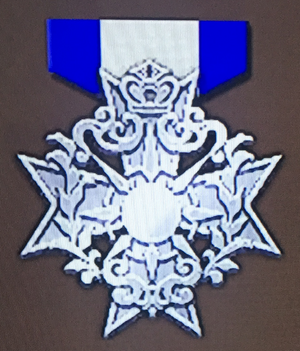 Silver Badge (FEW).png