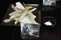 Zhao Yun's Dragon Skewer of the Battlefield ¥662