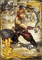 Shin Sangoku Musou Blast special card