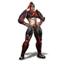 Dynasty Warriors downloadable costume