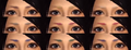 Available eyebrow colors