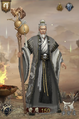 Musou outfit