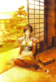 Samurai Warriors 2 artwork