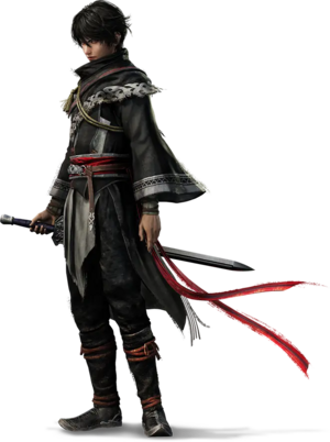 Protagonist (DWOR) - The Koei Tecmo Wiki