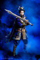 Butai Shin Sangoku Musou Keishū Soudatsusen IF theater production photo