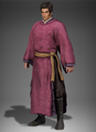 Dynasty Warriors 9 civilian appearance