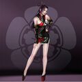 Downloadable special clothes