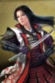 Downloadable collaboration portrait
