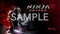 Ninja Gaiden 3