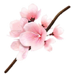 Cherry Blossom Branch (DWU).png