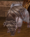 Armored Hog - Unusually large hogs covered in armor, their primary mode of attack is ramming at nearby targets. They are exceptionally good at disrupting the player's actions if left on their own devices. Chapters: 4~5, 14