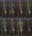 Warden costume set