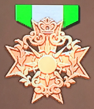 Bronze Badge (FEW).png