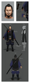 Rough concept