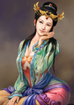 Romance of the Three Kingdoms XII~XIII portrait