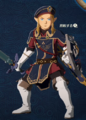 Royal Guard costume set