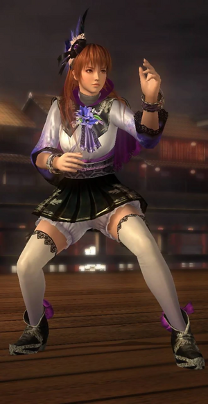 Kasumi Alternate Costume 16 (DOA5U).png