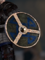 Viking Shield (French design 2)