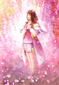 Samurai Warriors 2 artwork