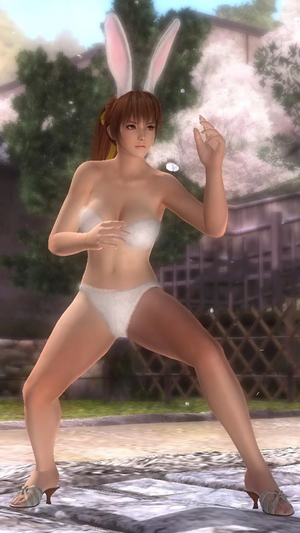 Kasumi Alternate Costume 7 (DOA5).png