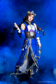 Butai Shin Sangoku Musou Keishū Soudatsusen IF theater production photo