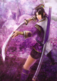 Samurai Warriors 3 artwork