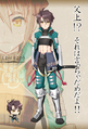 Sengoku Hime Ran portrait