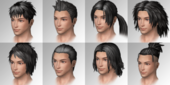 Available hairstyles for males