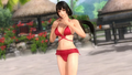 Alternate outfit 19