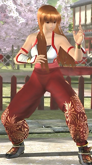 Kasumi Alternate Costume (DO4).png