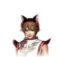 Cat ears at Game TSUTAYA or Wonder GOO