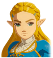 Princess Zelda's Angry Portrait