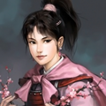 Romance of the Three Kingdoms XI portrait