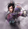 Dynasty Warriors 6: Empires artwork