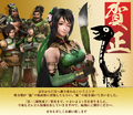 Omega Force's 2013 New Year's message
