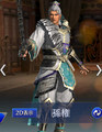 Dynasty Warriors Mobile mystic outfit