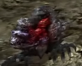 Explosive Crawler - A crawling Gillskin that explodes upon impact. Can be dangerous if not dealt with from a distance.