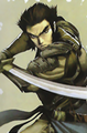 Sengoku Bushou Kanzen Visual Guide illustration